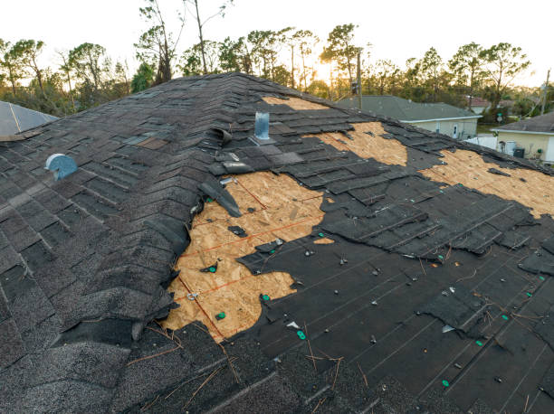Best Green or Eco-Friendly Roofing Solutions  in Waianae, HI