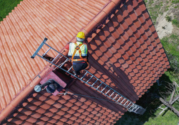 Best Metal Roofing Installation  in Waianae, HI